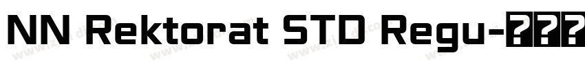 NN Rektorat STD Regu字体转换